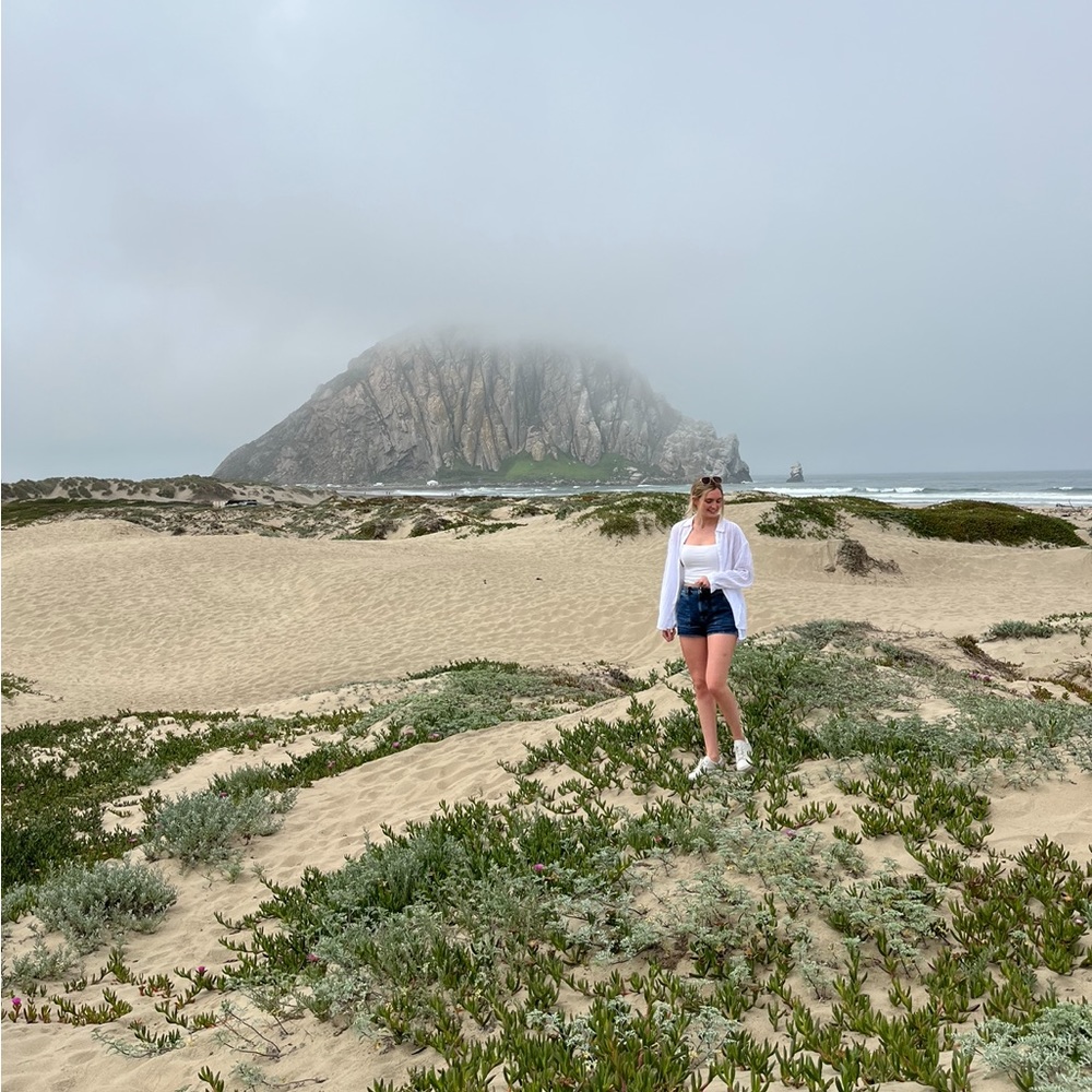 Meet your Posher, Sydney